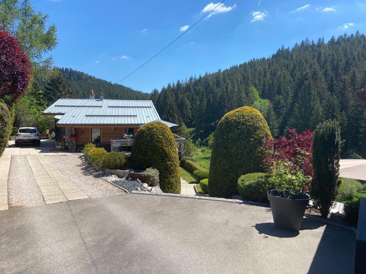 Appartement De Montagne Au Chalet De Snow Xonrupt-Longemer Eksteriør bilde