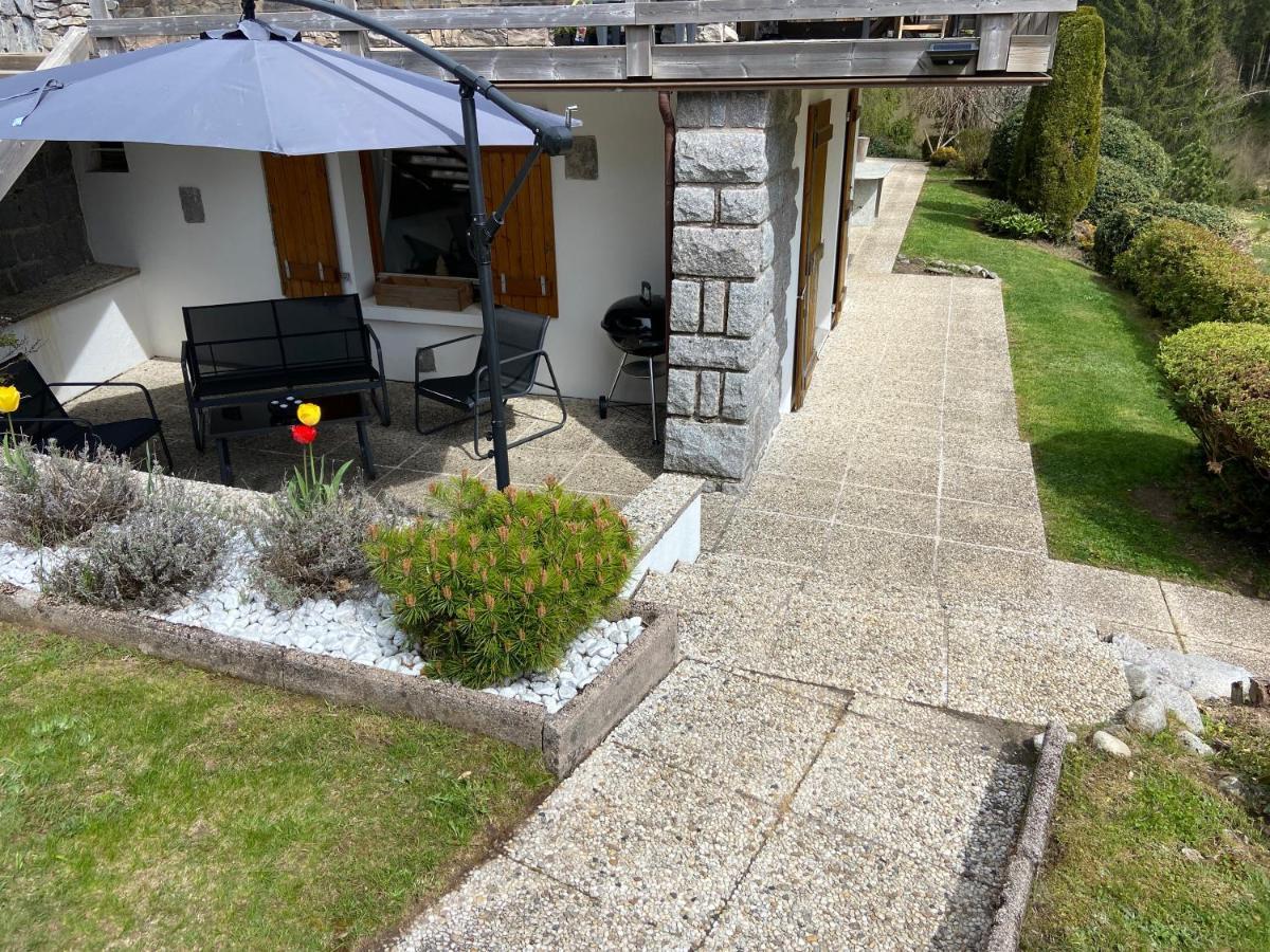 Appartement De Montagne Au Chalet De Snow Xonrupt-Longemer Eksteriør bilde