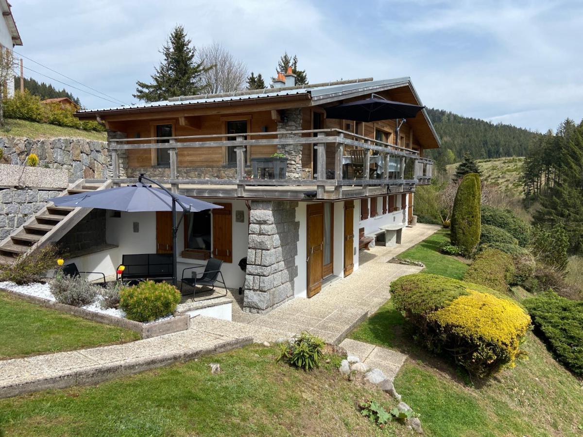 Appartement De Montagne Au Chalet De Snow Xonrupt-Longemer Eksteriør bilde